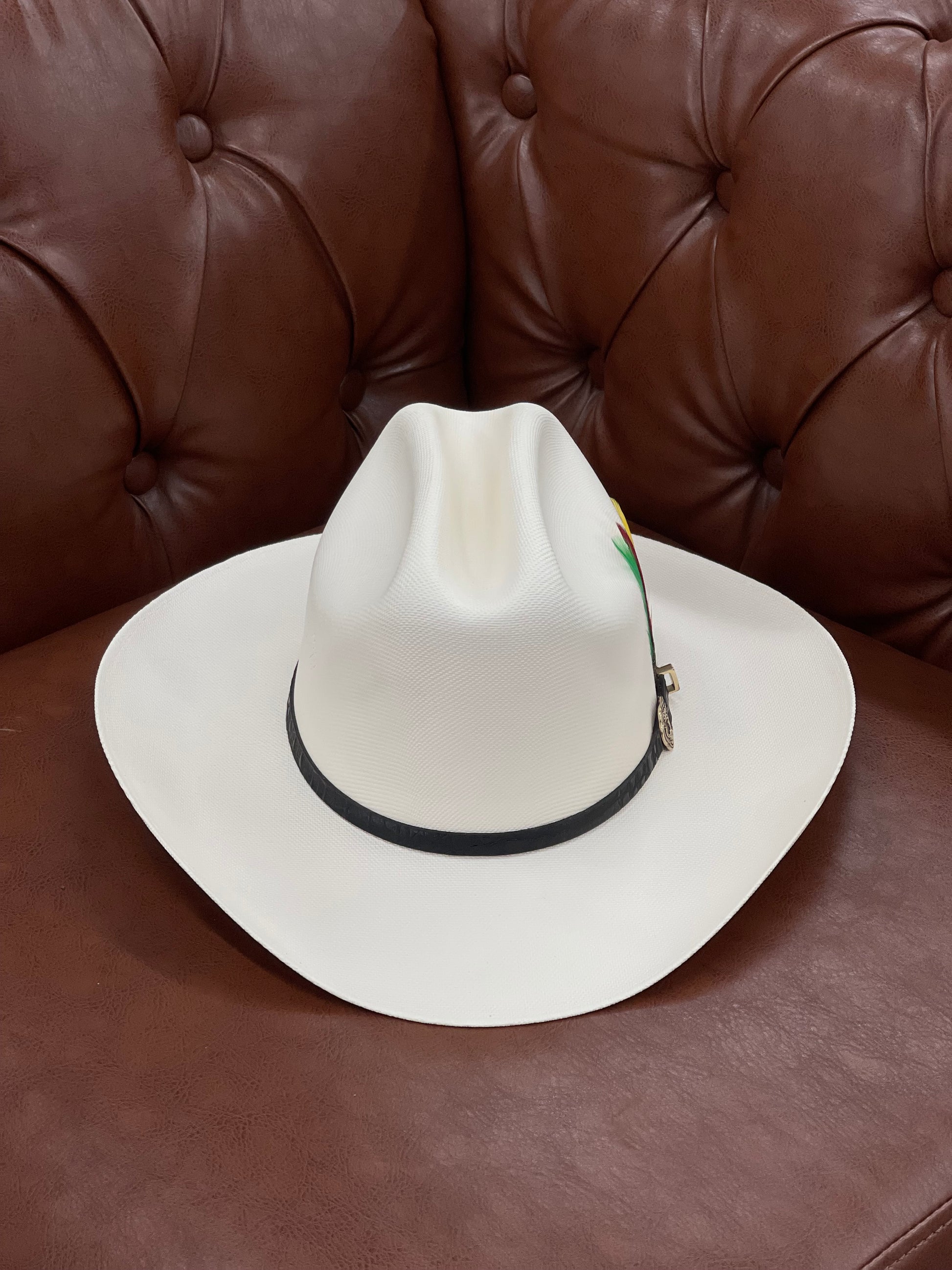 Tombstone chaparral horma Sinaloa